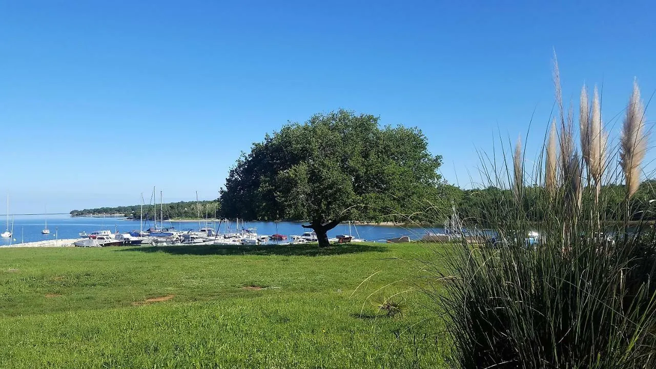 Gallery Porec